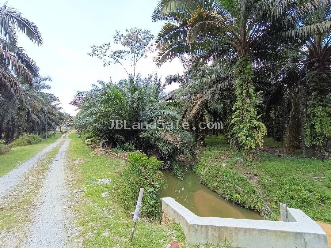 Kulai Residential Zoning Land for Sale — Near Putuo Village, 7.5 Acres